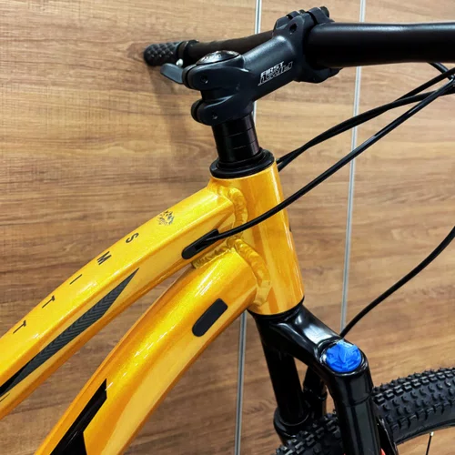 Bicicleta First Aro 29 Smitt Feminina 21v Freio Disco Ouro com Preto Tam 17,5