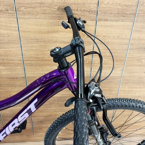 Bicicleta First Aro 29 Smitt Feminina 21v Freio Disco Violeta Com Prata Tam 15,5