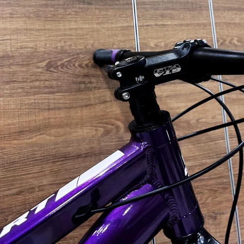 Bicicleta GTA Aro 29 Start 21v Freio Disco Roxo Tam 17