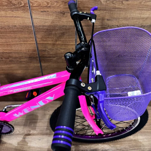 Bicicleta Wendy Aro 20 Feminina Com Cesta Rosa Chiclete com Violeta