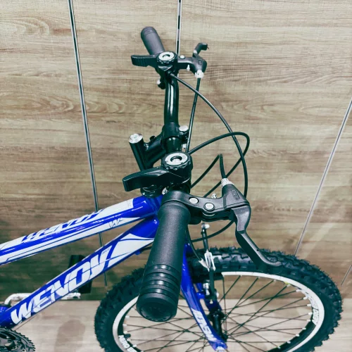 Bicicleta Wendy Aro 24 18M Rebaixado Azul