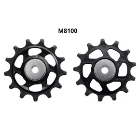 Roldana Cambio Shimano M8100