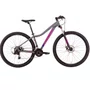 Bicicleta Oggi Aro 29 Float Sport 21v Freio Disco Grafite com Pink e Azul