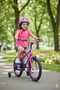 Bicicleta Wendy Aro 16 Feminina com Cesta Pink com Violeta