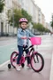 Bicicleta Wendy Aro 16 Feminina com Cesta Preto com Rosa