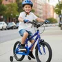 Bicicleta Wendy Aro 16 Masculino Azul