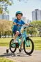 Bicicleta Wendy Aro 16 Masculino Azul Bebê com Preto