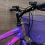 Bicicleta Wendy Aro 24 18M Feminina Com Cesta Lilás com Violeta
