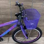 Bicicleta Wendy Aro 26 18 Marchas Rebaixado Com Cesta Lilas com Violeta